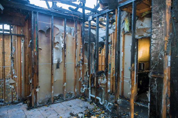 Professional Odor Removal technician working in Williamstown, KY